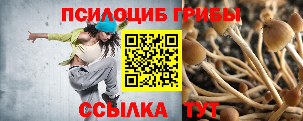Галлюциногенные грибы MAGIC MUSHROOMS  Георгиевск 